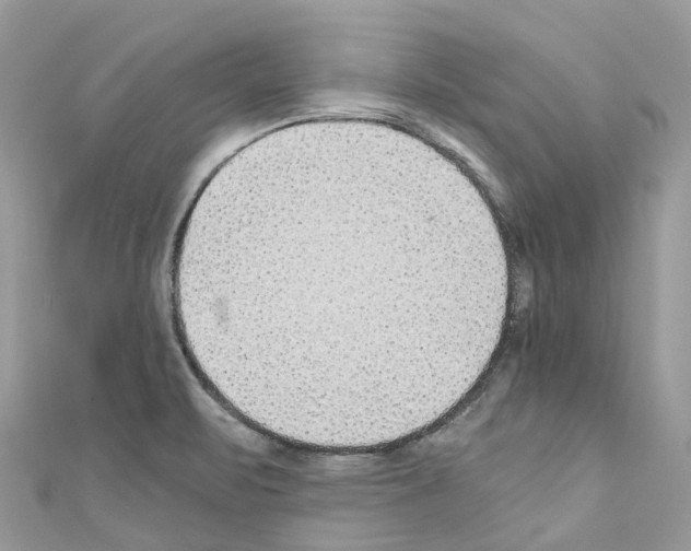 X0000110711471200907241135