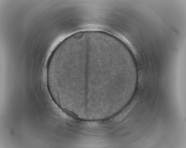 X0000110711472200907241135