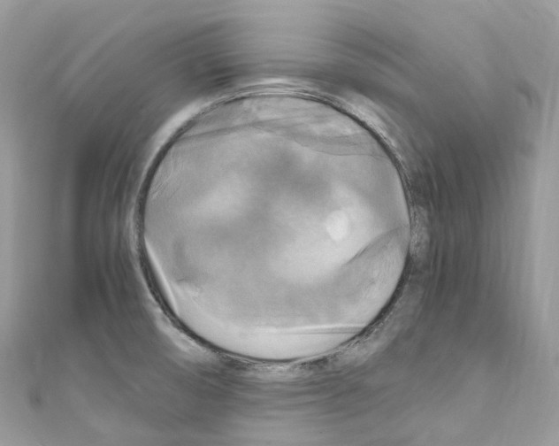 X0000110711474200907241135