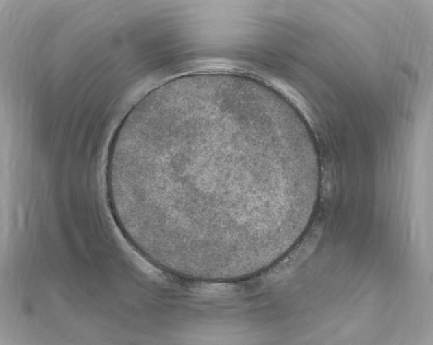 X0000110711475200907241135