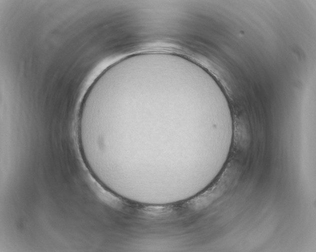X0000110711478200907241135