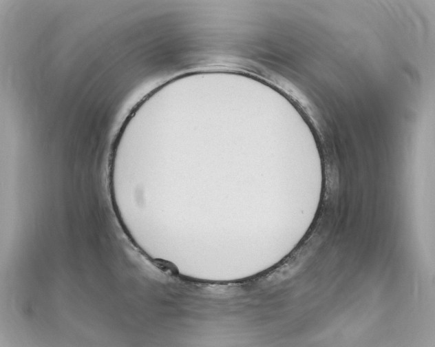 X0000110711480200907241135
