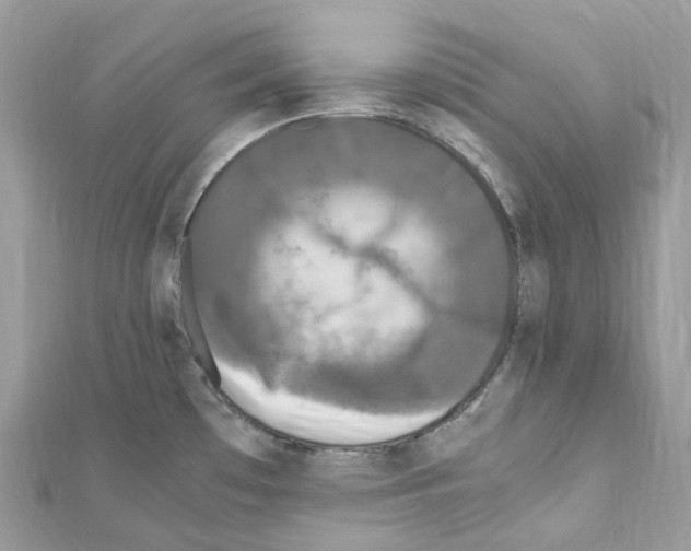 X0000110711481200907241135