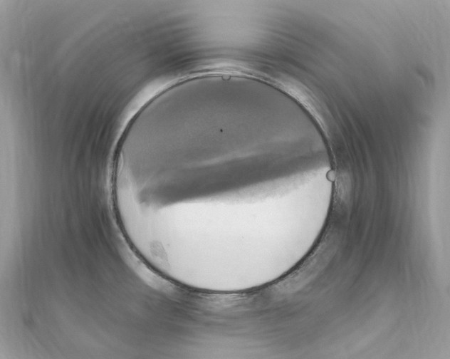X0000110711482200907241135