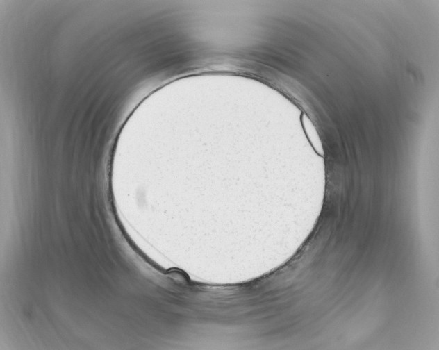 X0000110711483200907241135
