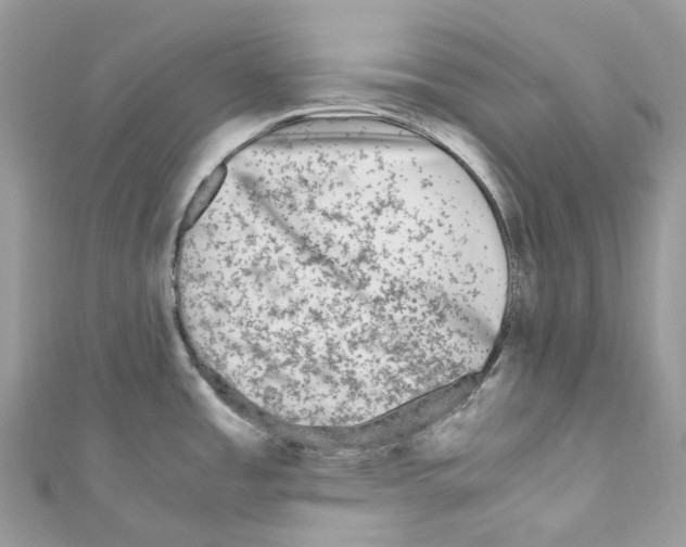 X0000110711485200907241135