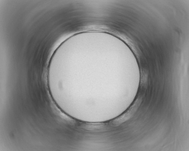 X0000110711486200907241135