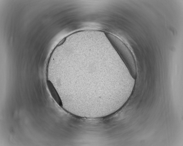 X0000110711488200907241135