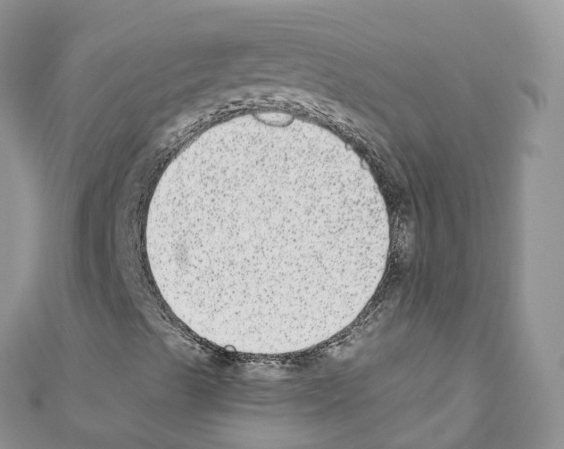 X0000110711489200907241134