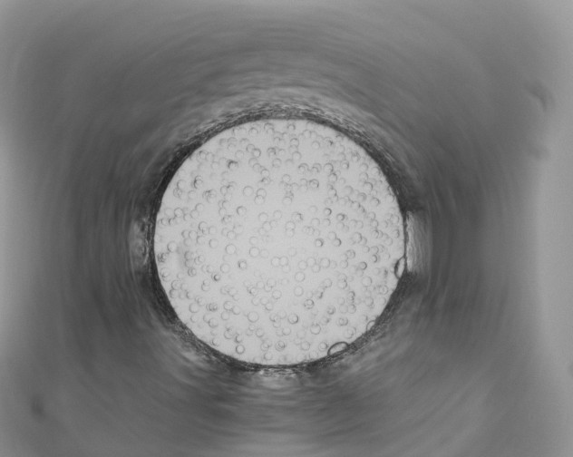 X0000110711491200907241134