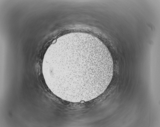 X0000110711493200907241134
