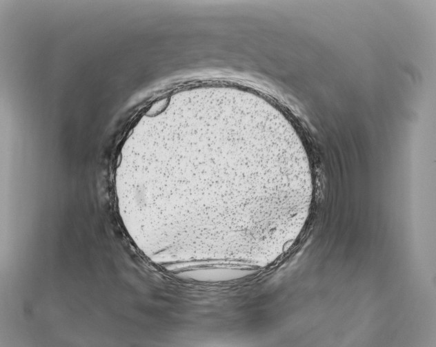 X0000110711494200907241134