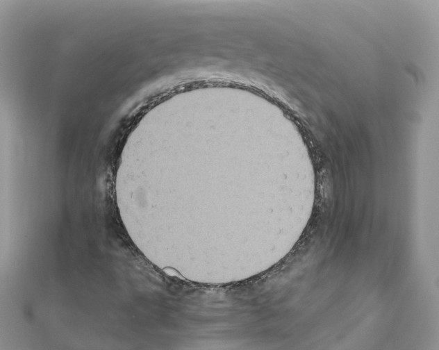 X0000110711495200907241134