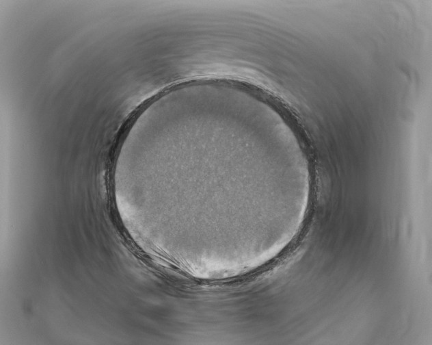 X0000110711497200907241134