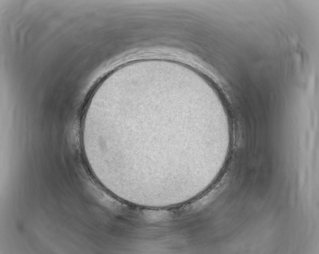 X0000110711498200907241134