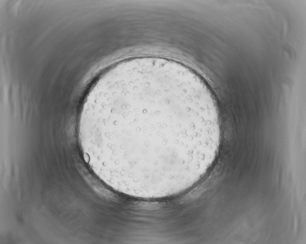 X0000110711499200907241134