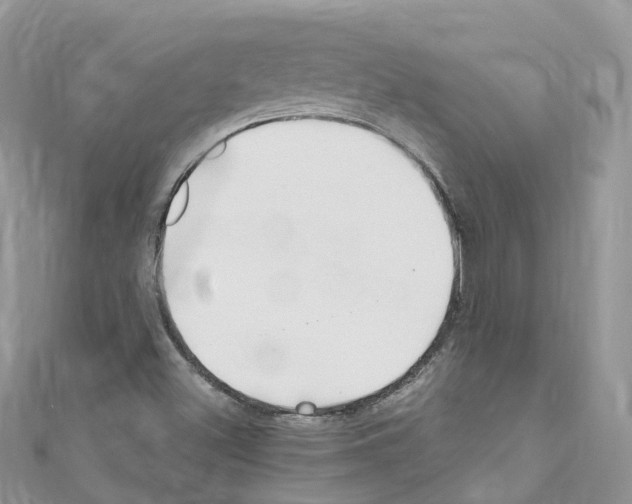 X0000110711500200907241134