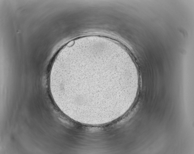 X0000110711501200907241134