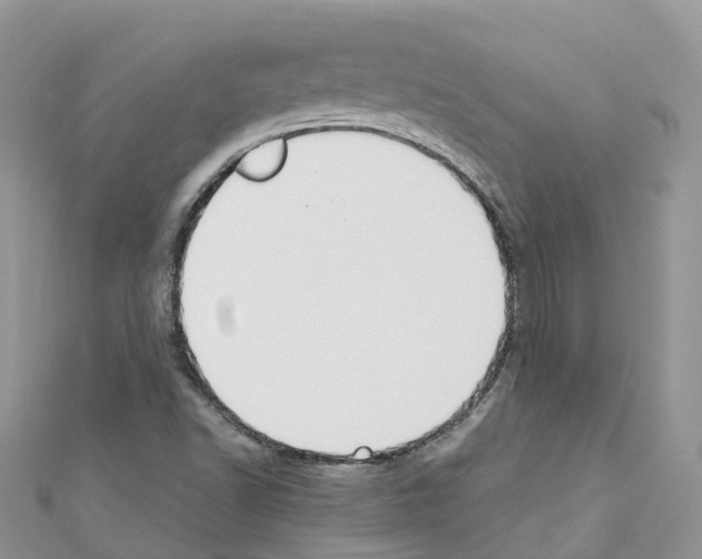 X0000110711502200907241134