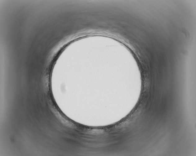 X0000110711503200907241135