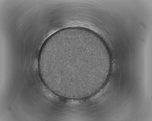 X0000110711505200907241135