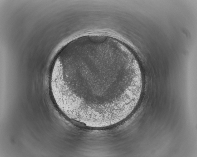 X0000110711506200907241135