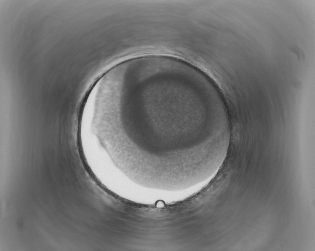 X0000110711508200907241135