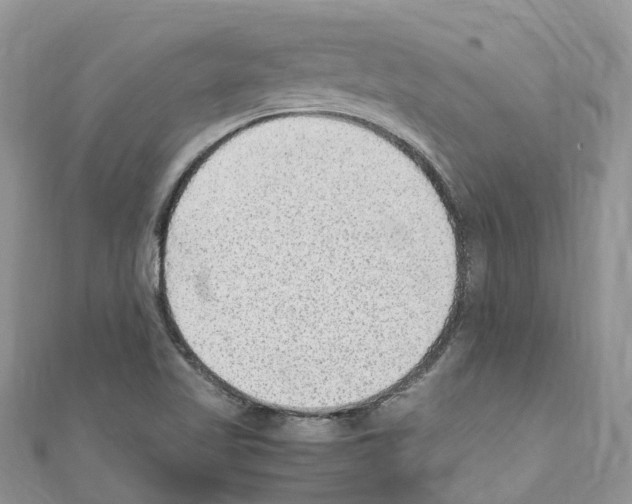 X0000110711509200907241135