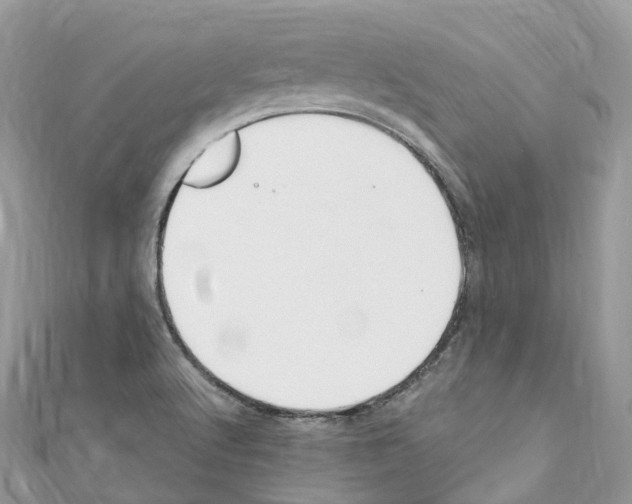 X0000110711512200907241135