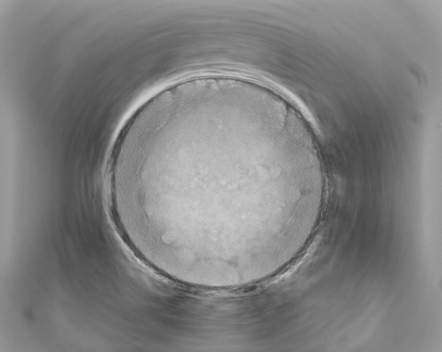 X0000110711514200907241135