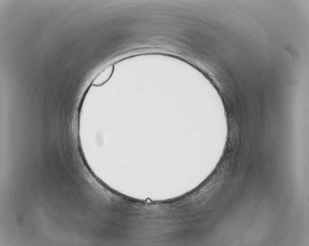 X0000110711516200907241135