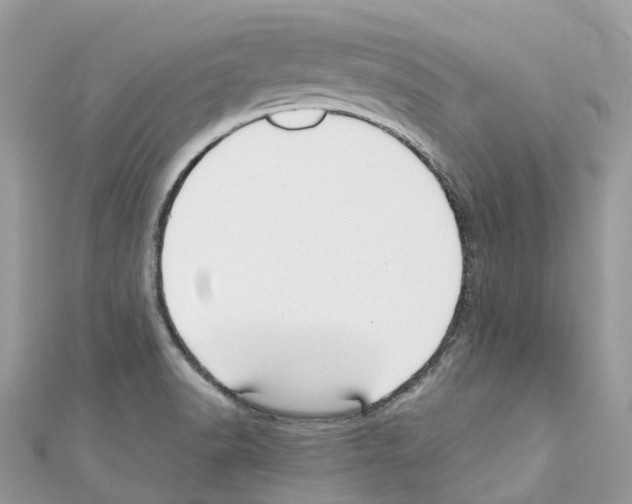 X0000110711518200907241135