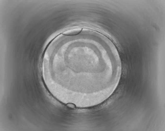 X0000110711522200907241135