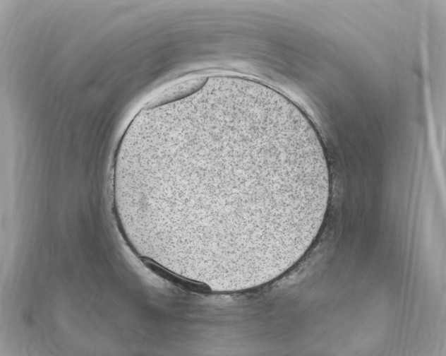 X0000110711524200907241135
