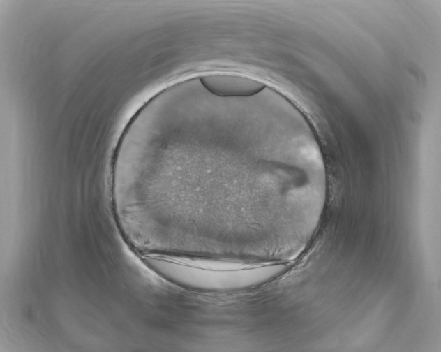 X0000110711527200907241135