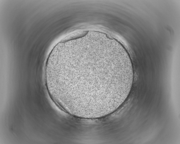 X0000110711528200907241135