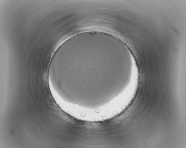 X0000110711529200907241135