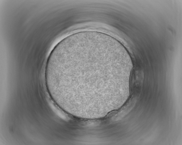 X0000110711530200907241135
