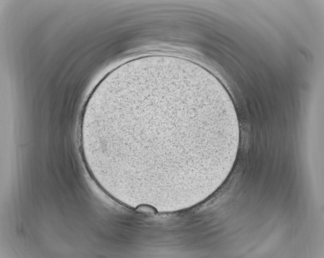X0000110711531200907241135