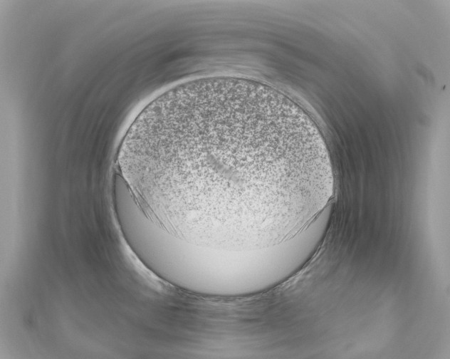X0000110711532200907241135
