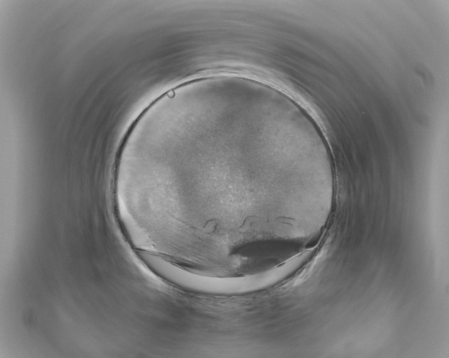 X0000110711533200907241135