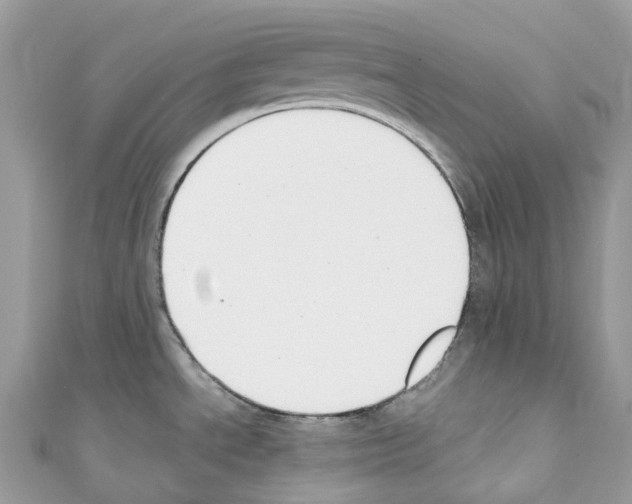 X0000110711534200907241135