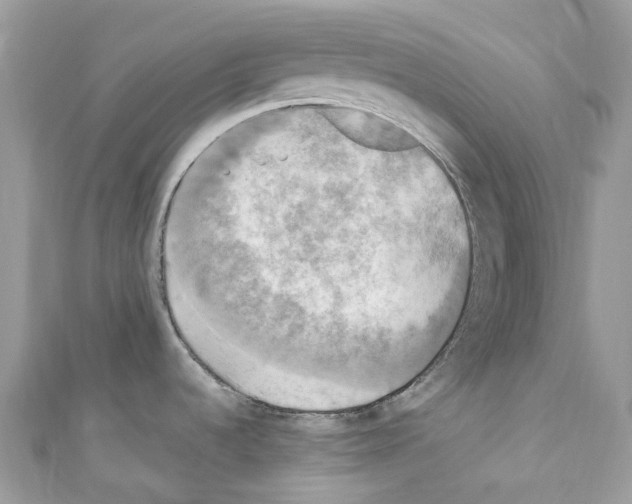 X0000110711536200907241135