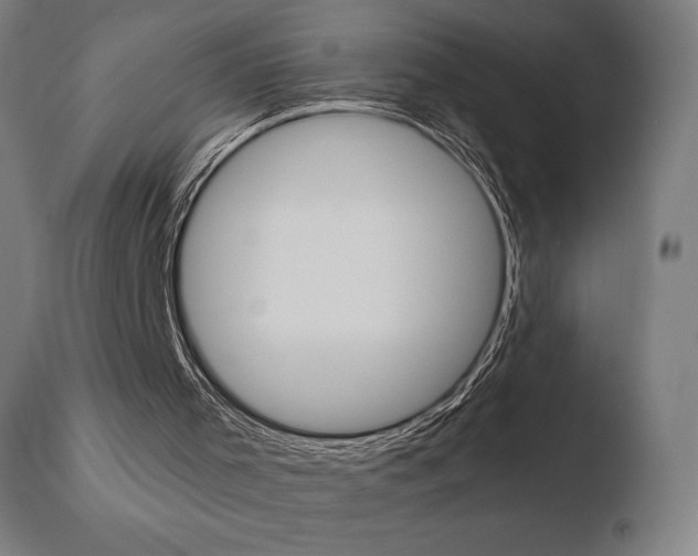 X0000110720001200906121258