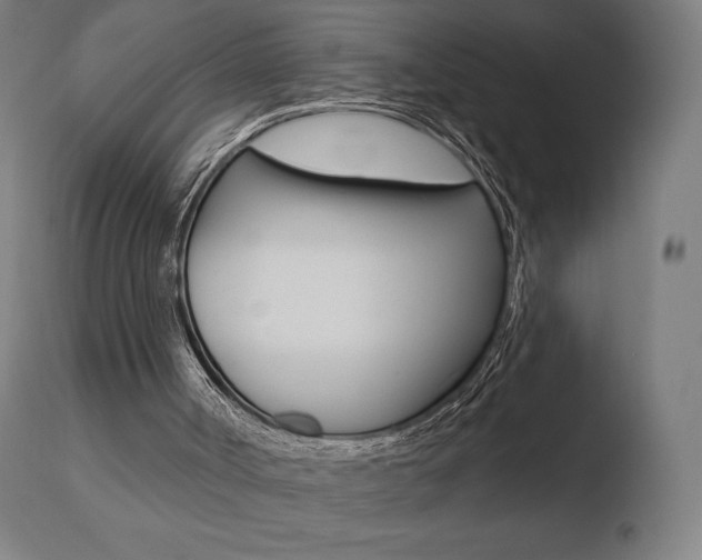 X0000110720002200906121258