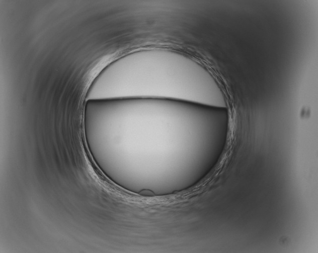 X0000110720003200906121258