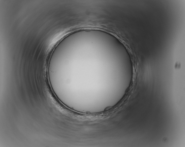 X0000110720005200906121258
