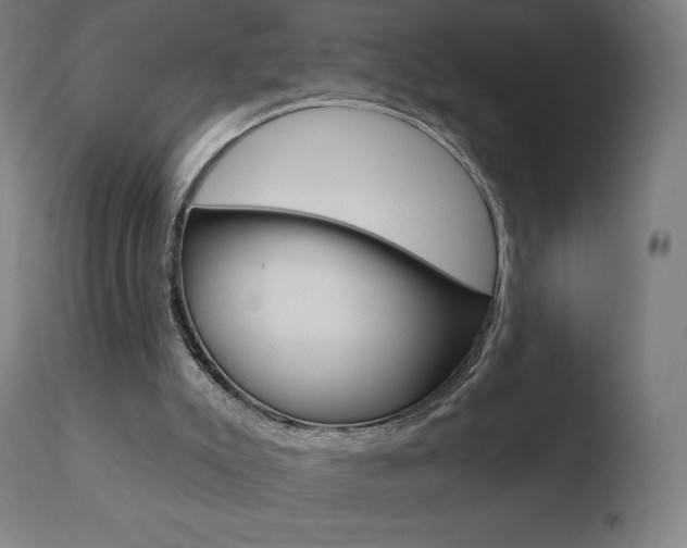 X0000110720007200906121258