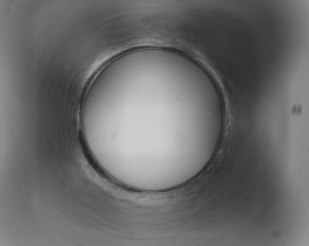X0000110720011200906121258