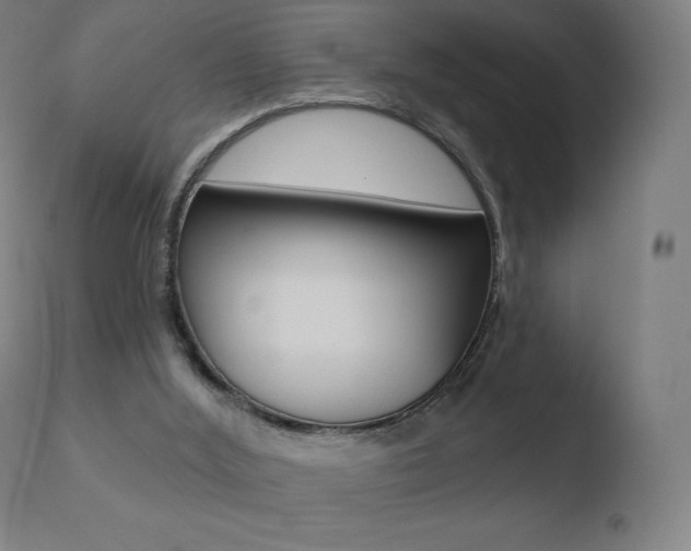 X0000110720012200906121258